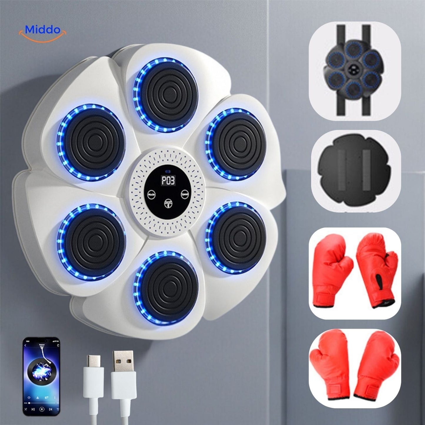 BoxMaster™ – Interactieve Bokstrainer!
