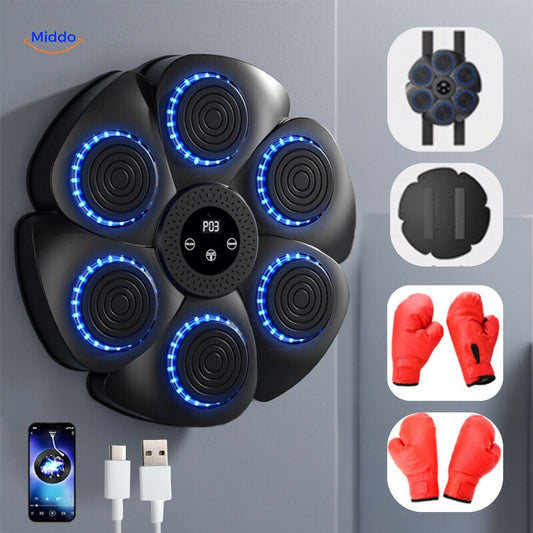BoxMaster™ – Interactieve Bokstrainer!